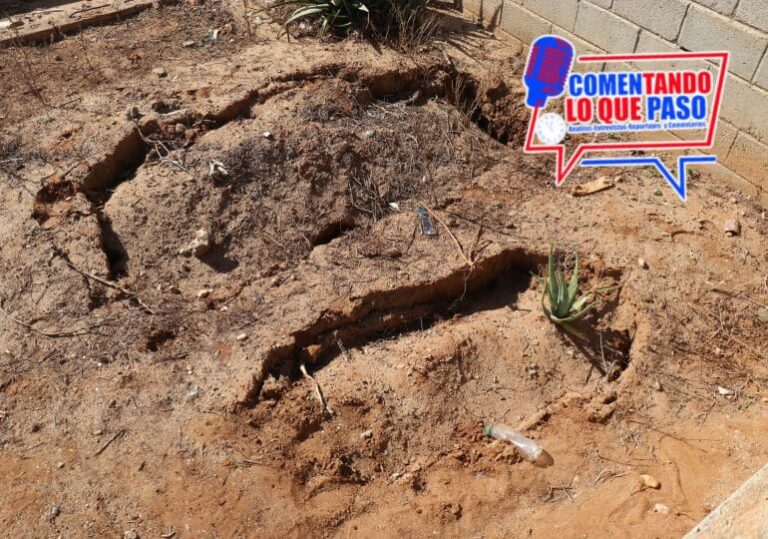 Imagen de WhatsApp 2024-12-13 a las 17.56.22_13286ee0