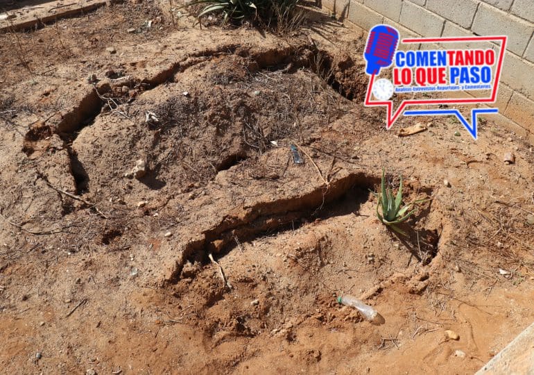 Imagen de WhatsApp 2024-12-13 a las 17.56.22_13286ee0