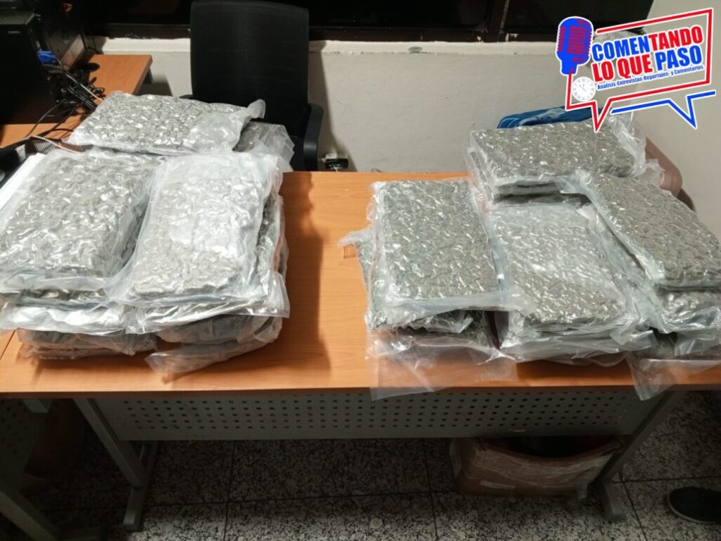 WhatsApp Image 2024-12-16 at 2.20.05 PM