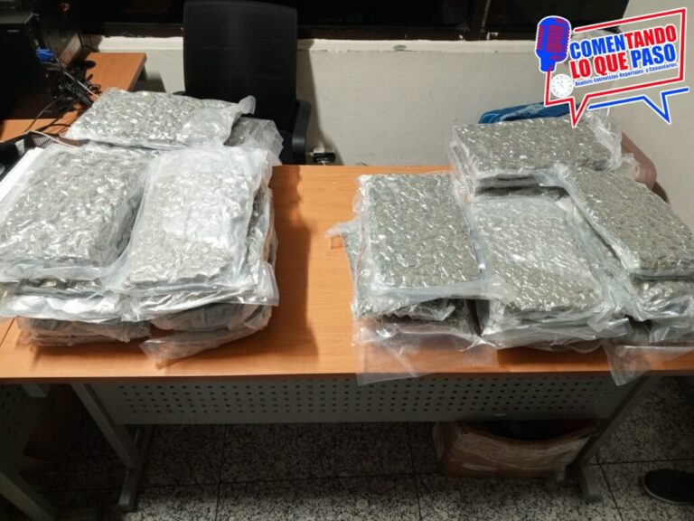 WhatsApp Image 2024-12-16 at 2.20.05 PM