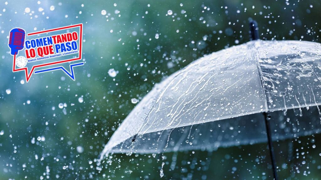 WhatsApp Image 2024-12-18 at 9.00.55 AM