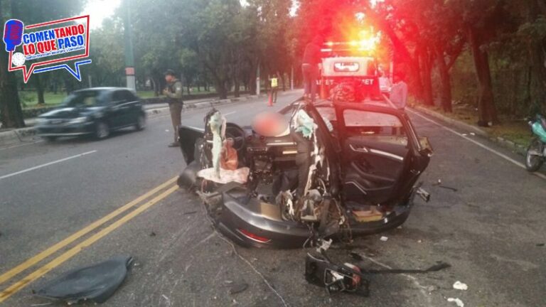 WhatsApp Image 2024-12-24 at 11.55.07 AM