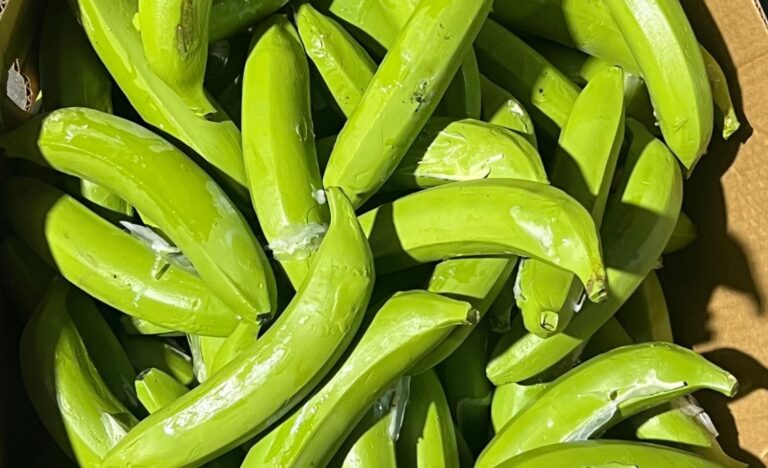 Drogas-DNCD-1140x694