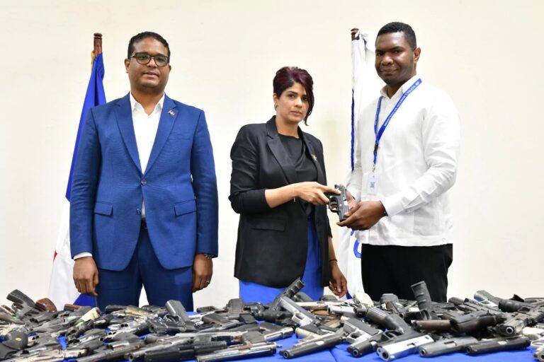 El-Ministerio-de-Interior-y-Policia-recibio-208-armas-de-fuego