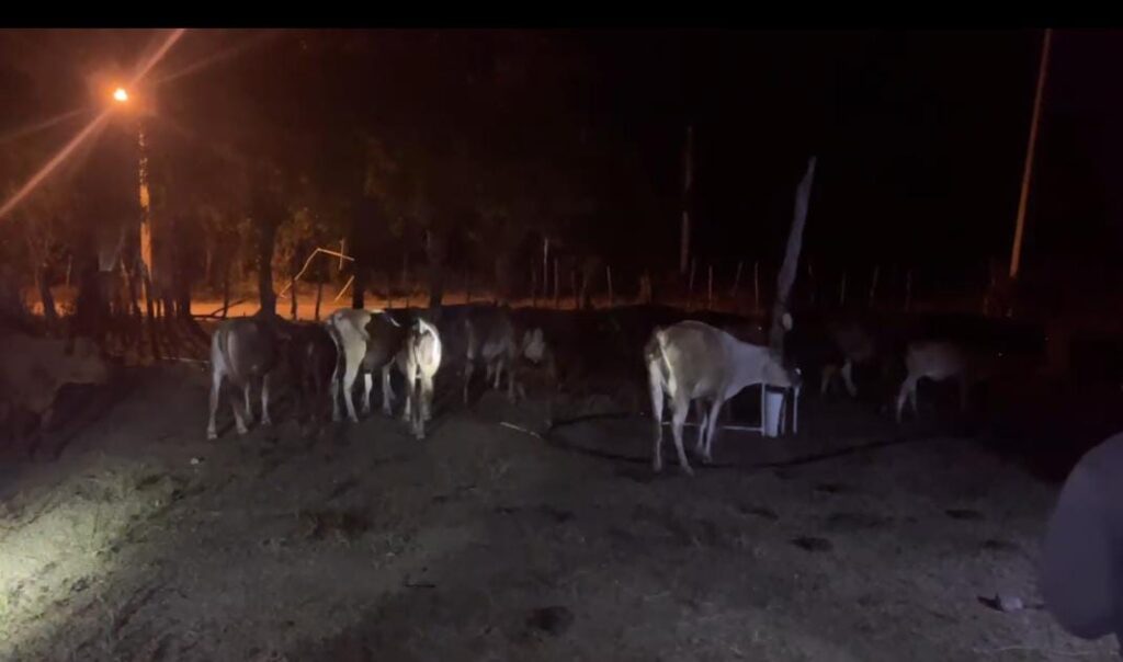 WhatsApp-Image-2025-02-07-at-8.43.28-AM