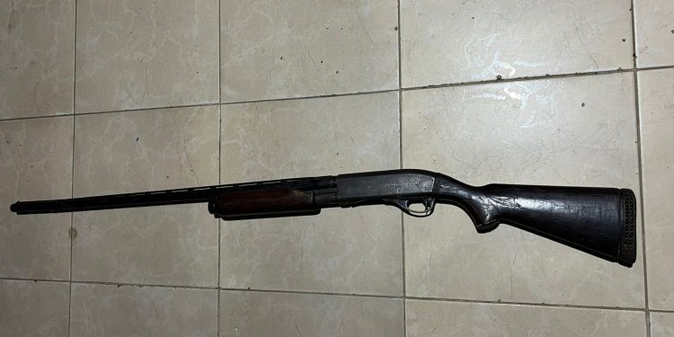 WhatsApp-Image-2025-02-12-at-3.01.54-PM-1-750x375