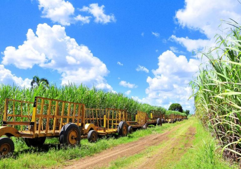 Central-Romana-770x540