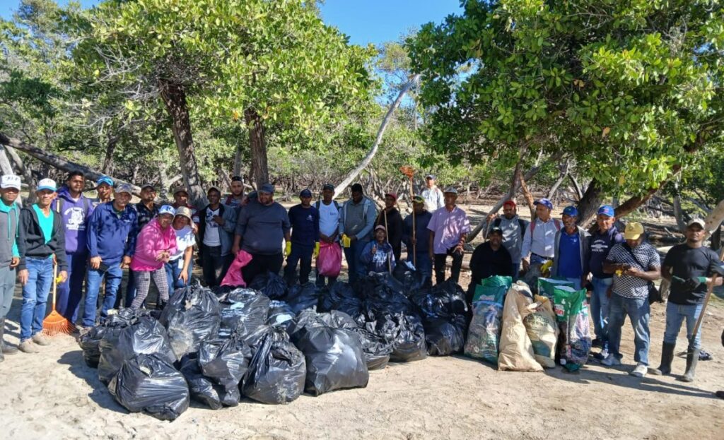 Limpieza-de-playas-1140x694