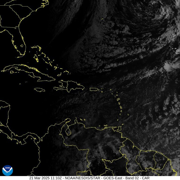 WhatsApp-Image-2025-03-21-at-8.04.03-AM