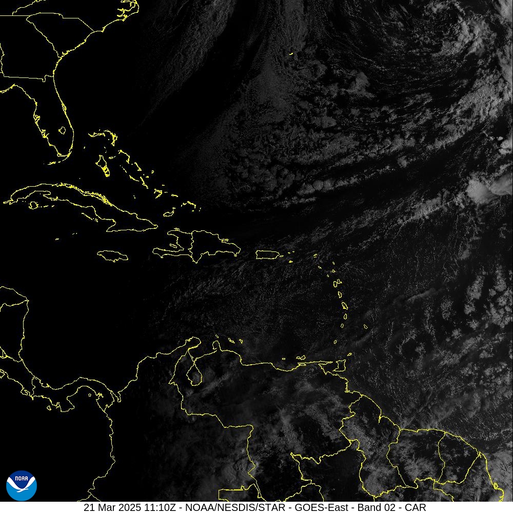 WhatsApp-Image-2025-03-21-at-8.04.03-AM