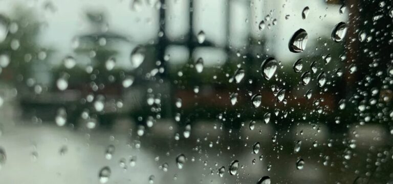 Captura-de-pantalla-2025-03-01-084234