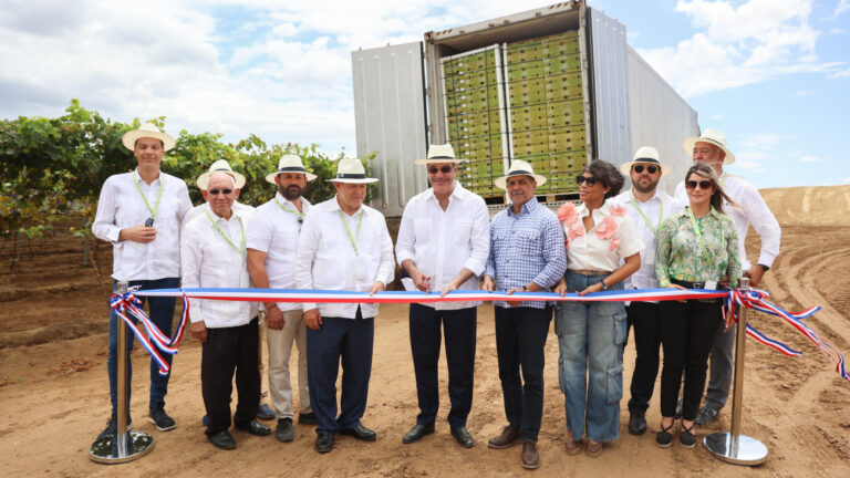 WhatsApp Image 2025-04-03 at 2.34.27 PM