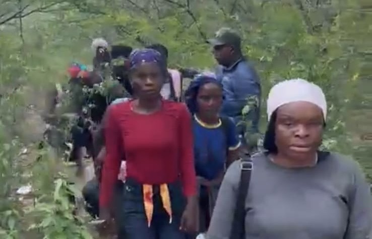 a113a462-eb42-4f68-9022-02d5be5e9f0d