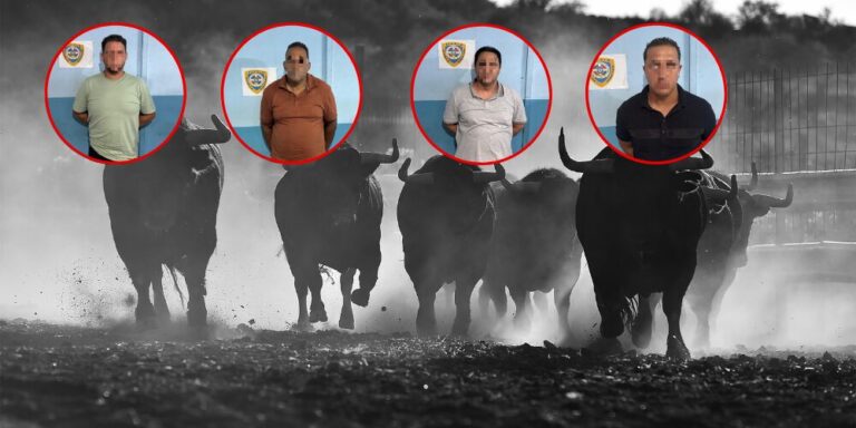 Post-de-Instagram-Feliz-Cumpleanos-Sencillo-Minimalista-Azul-1000-x-500-px-2025-05-22T102636.434