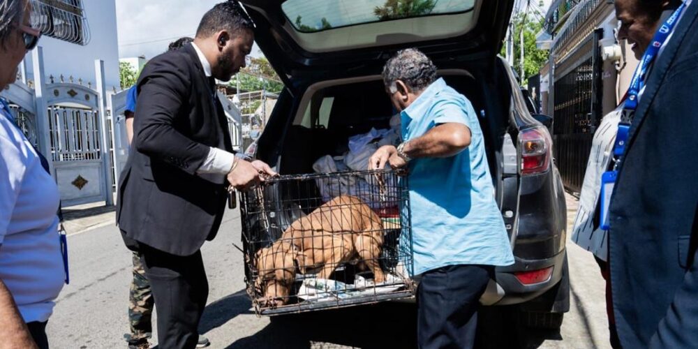Post-de-Instagram-Feliz-Cumpleanos-Sencillo-Minimalista-Azul-1000-x-500-px-68