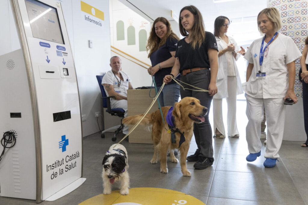 Terapeutas de cuatro patas para menores con conductas autolesivas y suicidas