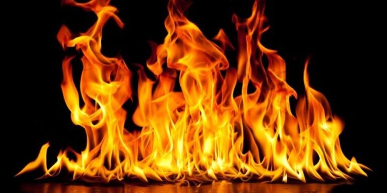 Plantilla-para-portal-1-3