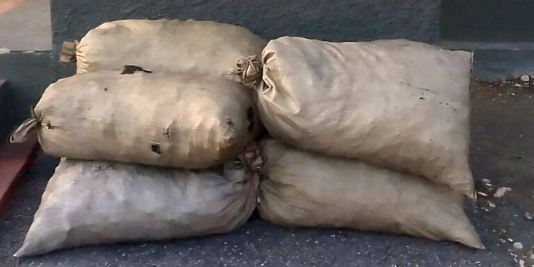 Plantilla-para-portal-16