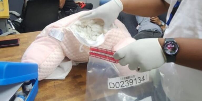 Plantilla-para-portal-2