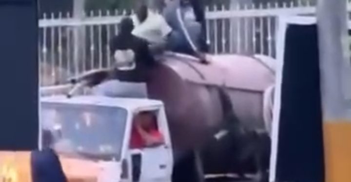 Screenshot_2025-07-25-08-44-46-190_com.whatsapp-720x375-1