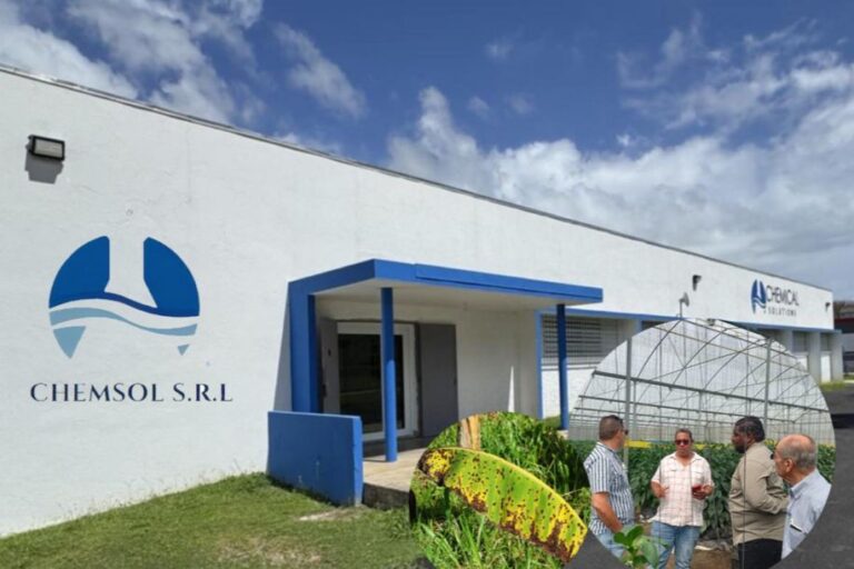 WhatsApp-Image-2025-07-15-at-2.50.20-PM