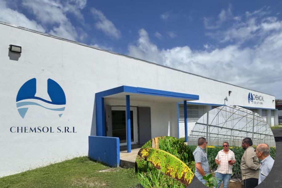 WhatsApp-Image-2025-07-15-at-2.50.20-PM