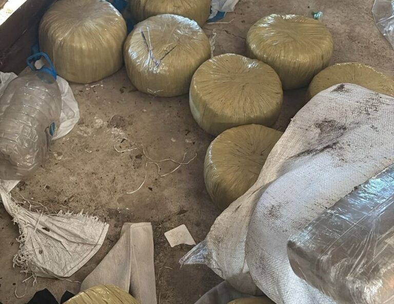 WhatsApp-Image-2025-07-26-at-1.10.04-PM-900x694