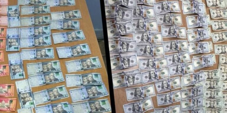 Plantilla-para-portal-51