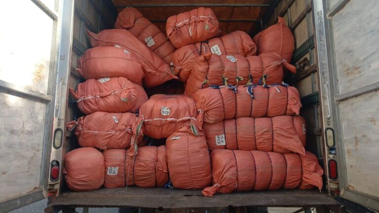 WhatsApp-Image-2025-08-22-at-5.44.16-PM-2-1068x601