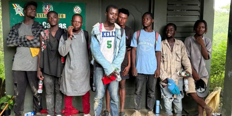 Plantilla-para-portal-35