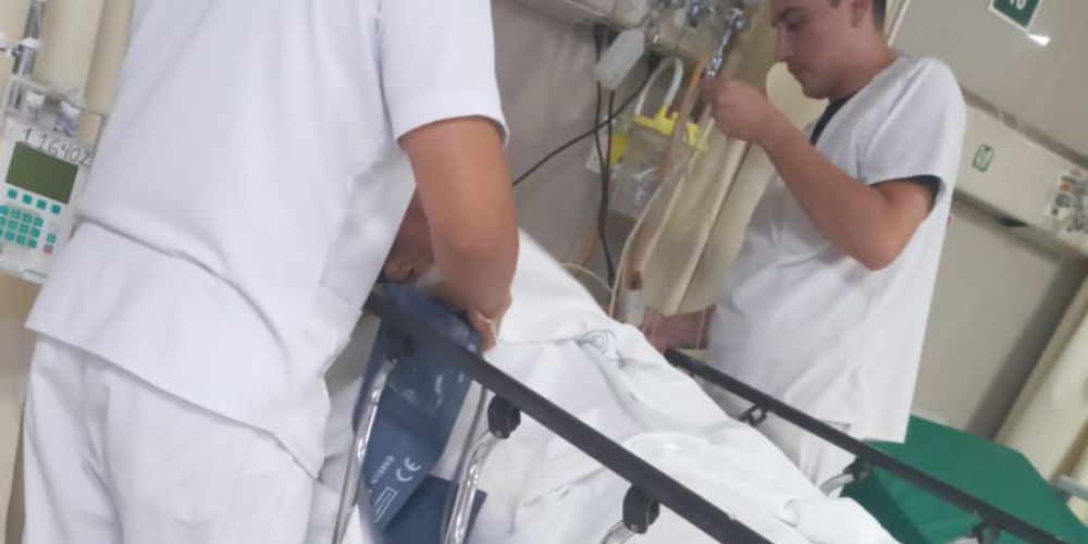 Plantilla-para-portal-82