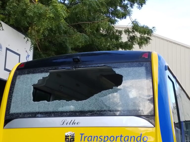 WhatsApp-Image-2025-10-31-at-9.08.34-AM