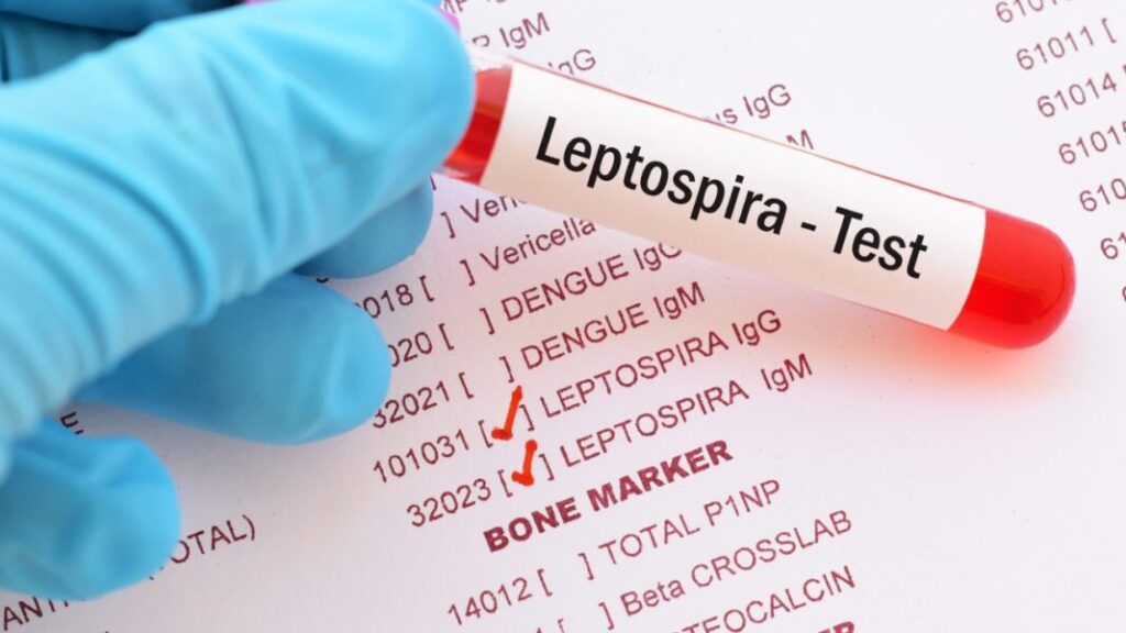 p-1080-x-1080-px-1080-x-1080-px-756-x-945-px-1280-x-720-px-1280-x-720-px-73-1068x601