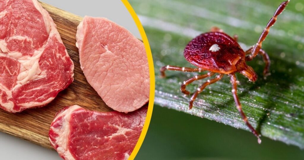 0bCEz7Wi0_1200x630__1-1068x561