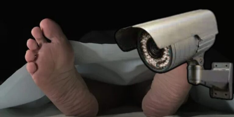 Plantilla-para-portal-2025-11-14T091831.703