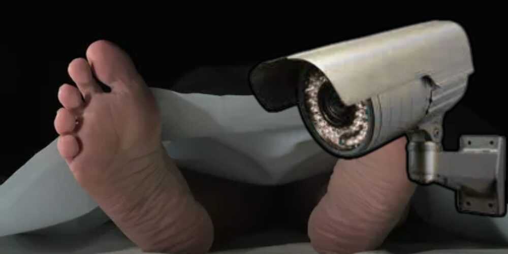 Plantilla-para-portal-2025-11-14T091831.703