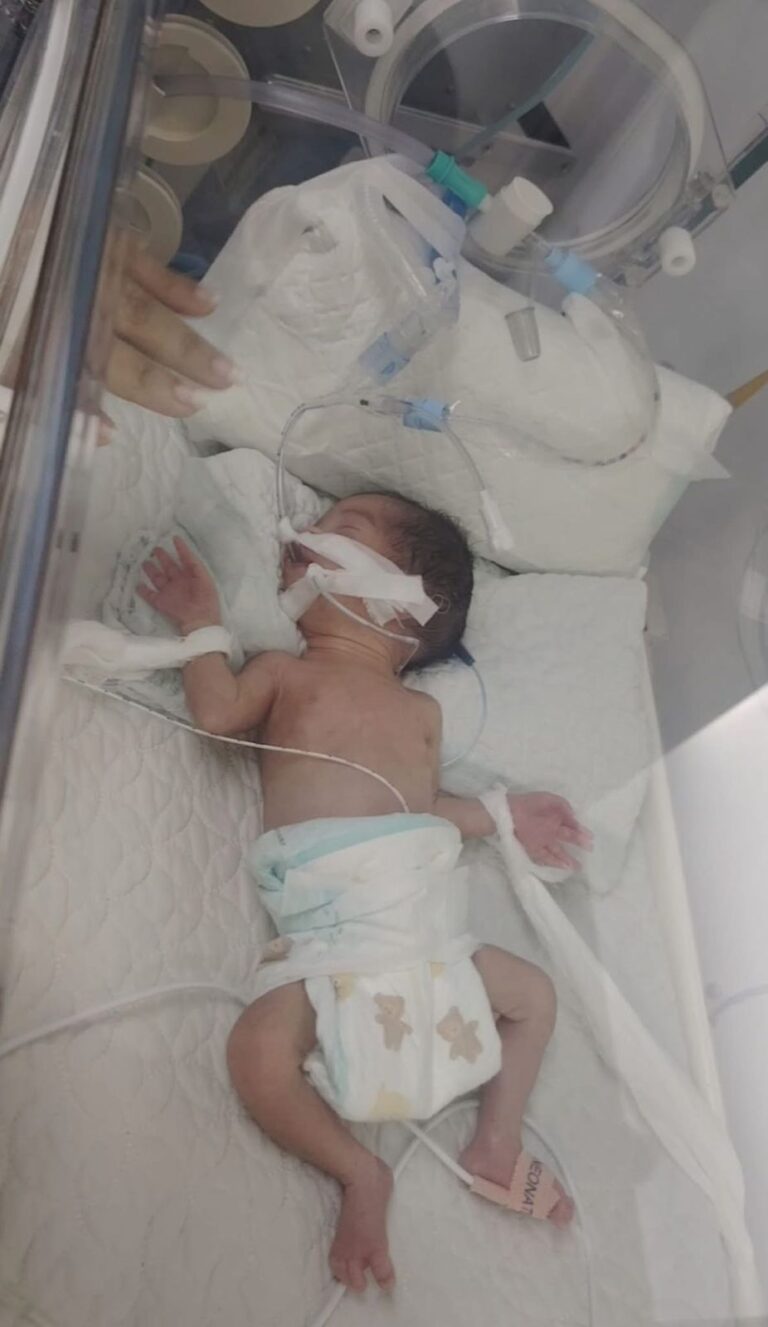 WhatsApp-Image-2025-11-21-at-12.08.21-PM-1