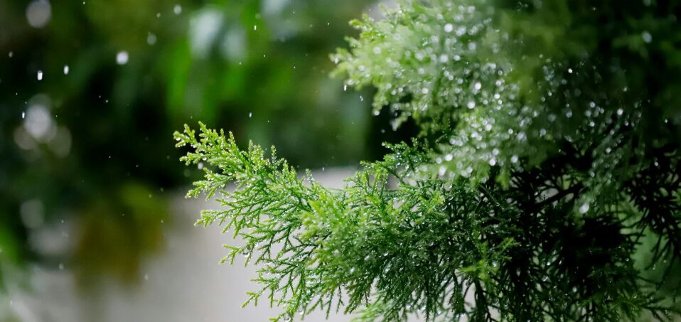 Captura-de-pantalla-2025-12-24-075721