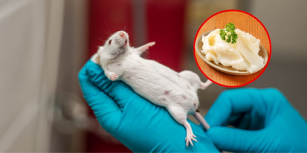 Copia-de-Post-de-Instagram-Feliz-Cumpleanos-Sencillo-Minimalista-Azul-1000-x-500-px-2025-12-24T090624.567