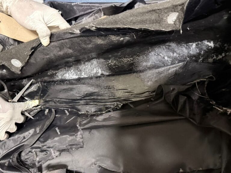 WhatsApp-Image-2025-12-20-at-10.56.05-AM-1068x801