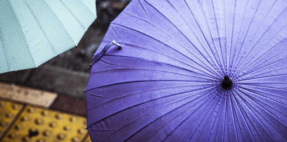 Captura-de-pantalla-2026-01-17-084056