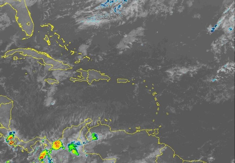 WhatsApp-Image-2026-01-03-at-8.40.45-AM-1000x694