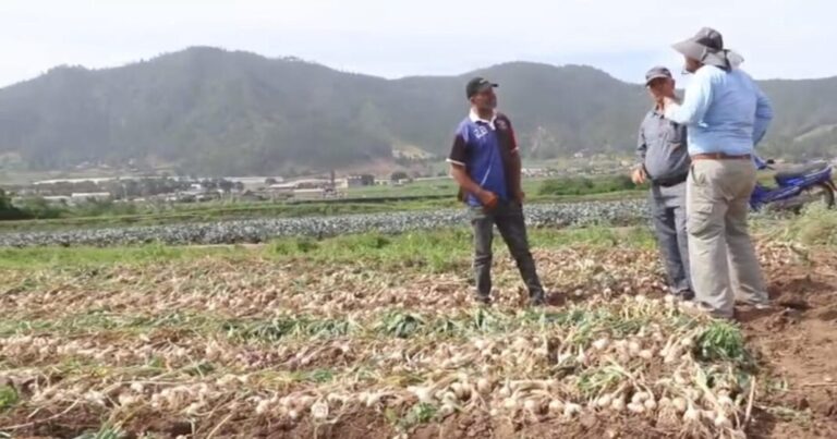 WhatsApp-Image-2026-01-14-at-8.24.52-AM-1068x561