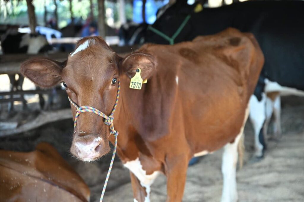 WhatsApp-Image-2026-01-29-at-11.29.55-AM-1068x710