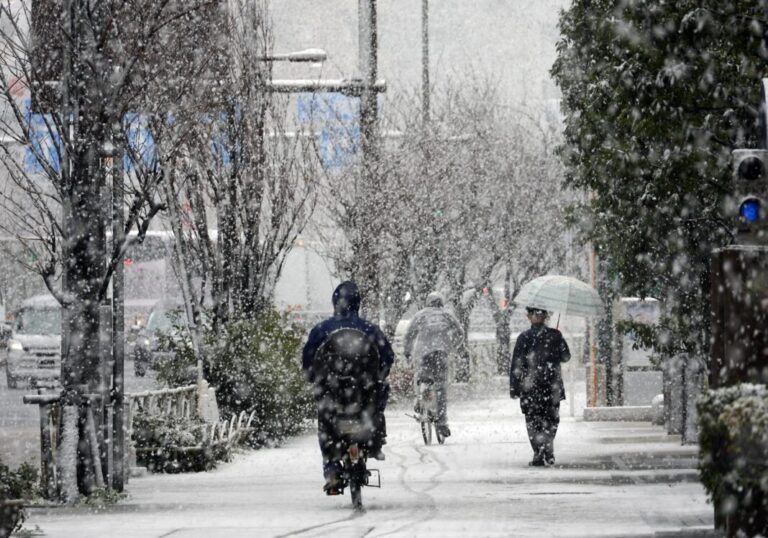 11d5a17f229b94277b8bb72ee5e8537f37f4bf6aw-1068x748