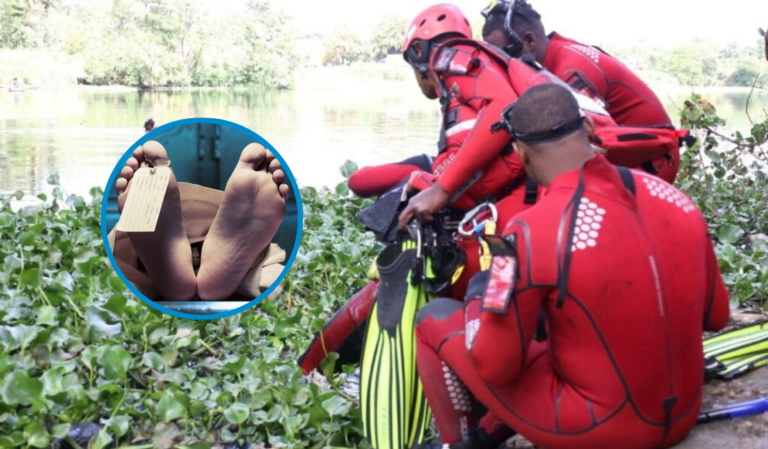 Collage-2026-02-12T195103.211