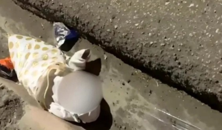 Collage-2026-02-23T080928.231