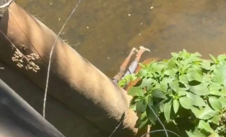 ENCUENTRAN-CUERPO-SIN-VIDA-1140x694