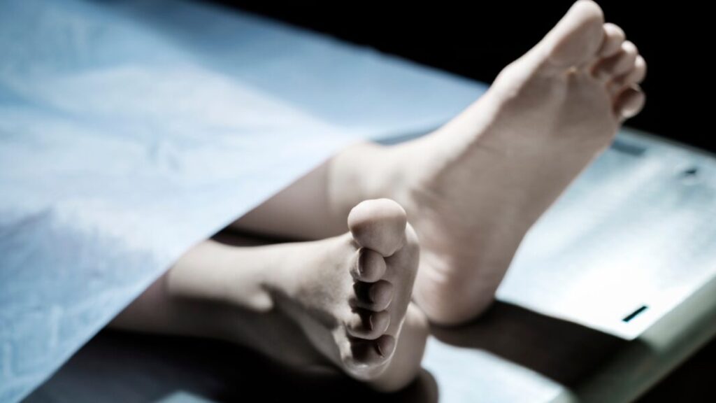 NOTICIAS-DE-ULTIMO-MINUTO-24-1068x601