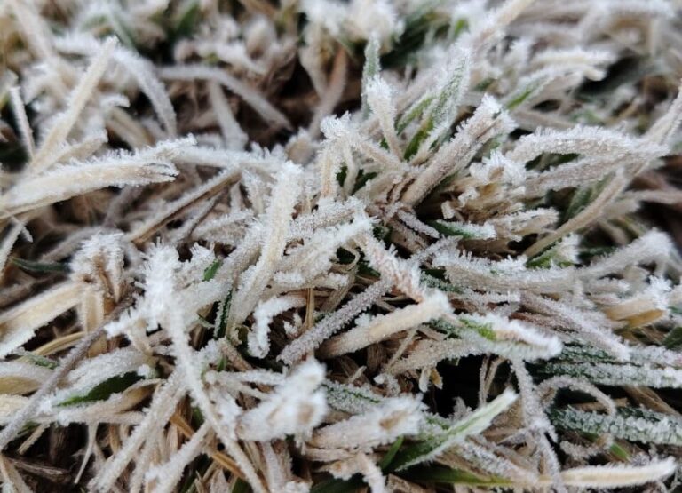 WhatsApp-Image-2026-02-21-at-12.33.13-PM-1-960x694